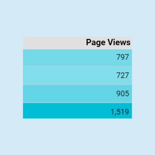 page view results